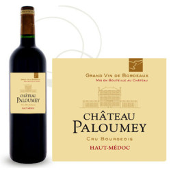 Château Paloumey 2015 Rouge