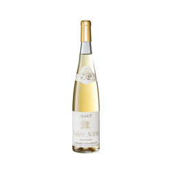 Gewurztraminer Vallée Noble 2020 Blanc Leon Boesch