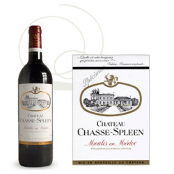 Château Chasse Spleen 2017 Rouge