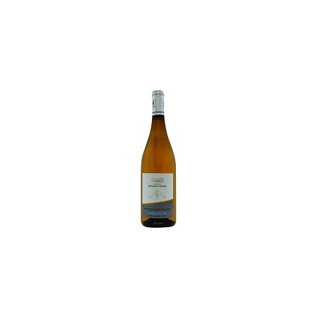 Fleur de Lys 2021 Blanc Domaine du Moulin Favre