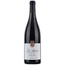 Les Montées Pinot Noir Côtes de la Charité 2017 Rouge Dagueneau et Filles