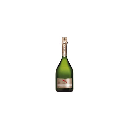 Champagne Mumm Brut Selection Etui Blanc Mumm