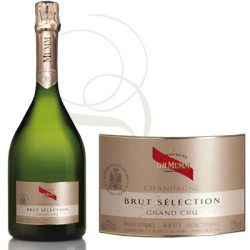 Champagne Mumm Brut Selection Etui Blanc Mumm