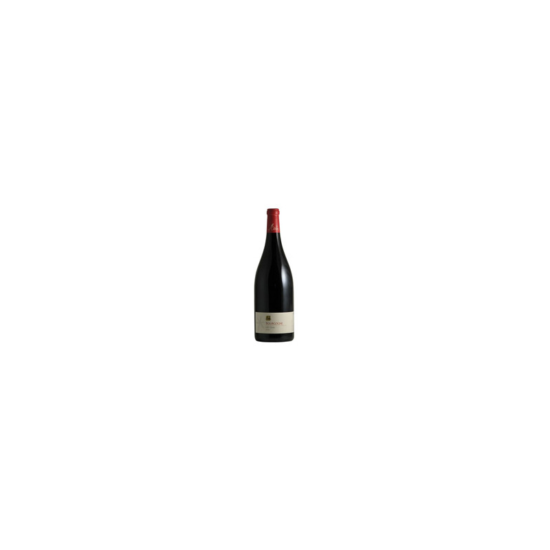 Les Cras 2019 Rouge Olivier Merlin