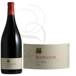 Les Cras 2019 Rouge Olivier Merlin