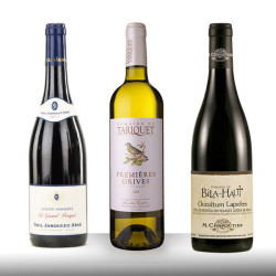 COFFRET 3 VINS : Tariquet, Bila Haut et Saint Joseph