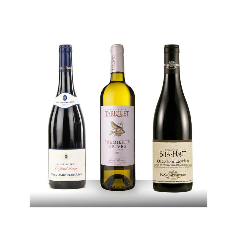 COFFRET 3 VINS : Tariquet, Bila Haut et Saint Joseph