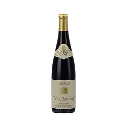 Pinot Noir Les Jardins 2019 Rouge Leon Boesch