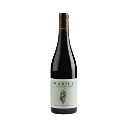 Marius 2019 Rouge Chapoutier