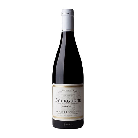 Bourgogne Pinot Noir 2021 Rouge Pierre Gelin