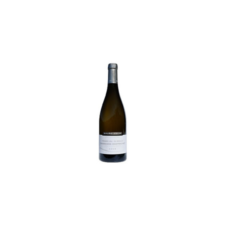 En Remilly 1er cru 2018 Blanc Bruno Colin