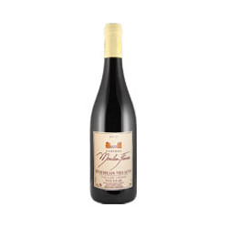 Beaujolais Nouveau 2022 Rouge Domaine du Moulin Favre