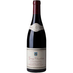 Clos de Meixvelle 2019 Rouge Pierre Gelin - 75cl