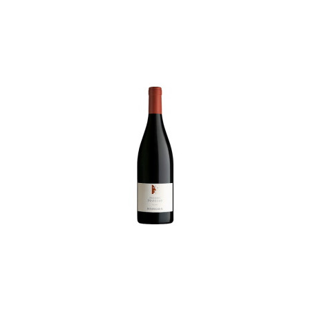 Les Racines 2019 Rouge Frederic Mabileau - 75cl