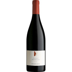 Les Racines 2019 Rouge Frederic Mabileau - 75cl