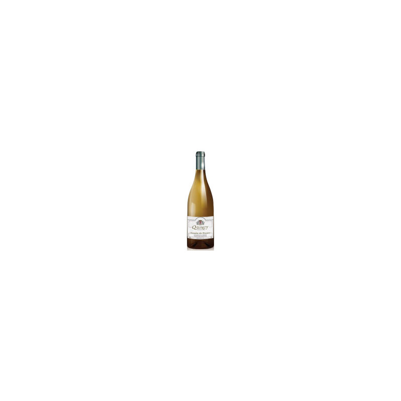 Quincy 2022 Blanc Domaine des Bruniers - 75cl