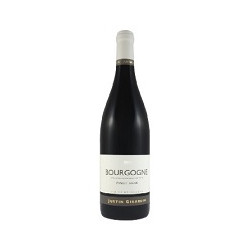 Bourgogne Pinot Noir 2021...