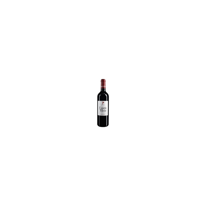 Esprit de Pavie 2012 Rouge - 75cl