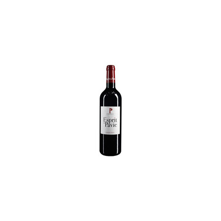 Esprit de Pavie 2012 Rouge - 75cl