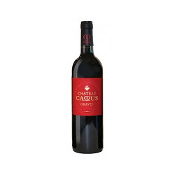 Château Camus 2020 Rouge - 75cl