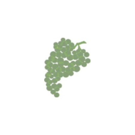 Champagne Pol Roger Cuvée Sir Winston Churchill 2012 Blanc Pol Roger - 75cl Champagne Pol Roger Cuvée Sir Winston Churchill 2012 Blanc Pol Roger - 75cl