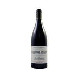 Les Feusselottes 2018 Rouge Henri de Villamont - 75cl