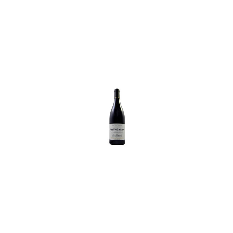 Les Feusselottes 2018 Rouge Henri de Villamont - 75cl