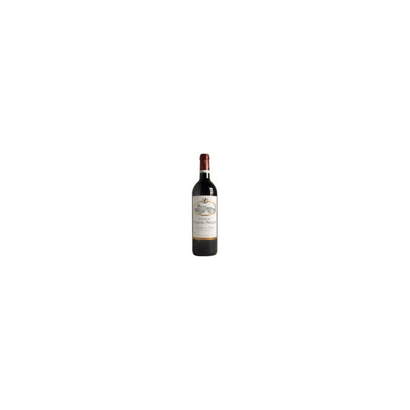 Château Chasse Spleen 2021 Rouge - 75cl