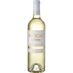 Château Bouscaut 2021 Blanc - 75cl