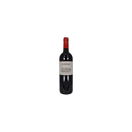 Le Versant 2020 Rouge Domaine de l'Aurage - 75cl