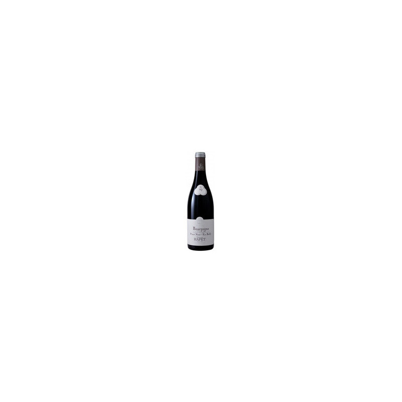 En Bully 2021 Rouge Rapet Pere et Fils - 75cl