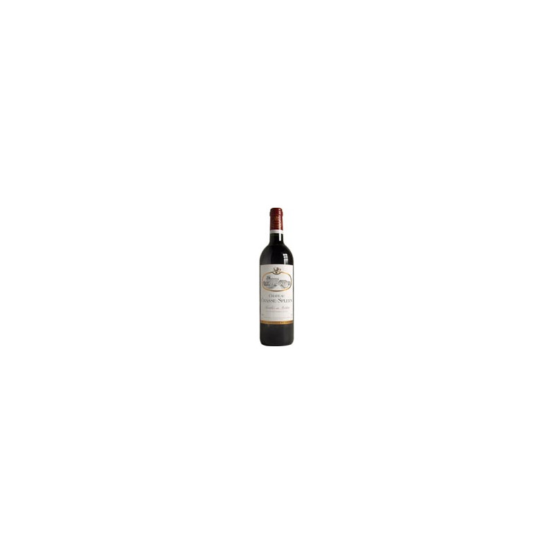 Château Chasse Spleen 2020 Rouge - 150cl