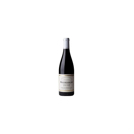 Bourgogne Pinot Noir 2022 Rouge Pierre Gelin - 75cl