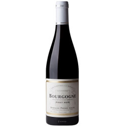 Bourgogne Pinot Noir 2022 Rouge Pierre Gelin - 75cl