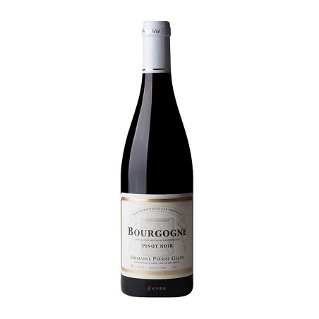 Bourgogne Pinot Noir 2022 Rouge Pierre Gelin - 75cl