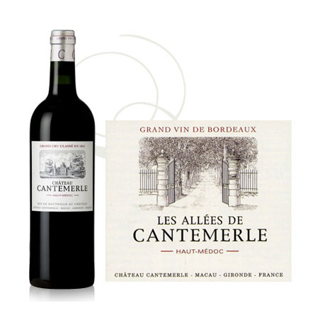 Les Allées de Cantemerle 2019 Rouge - 75cl