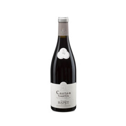 Corton Grand Cru 2021 Rouge Rapet Pere et Fils - 75cl