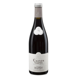 Corton Grand Cru 2021 Rouge Rapet Pere et Fils - 75cl