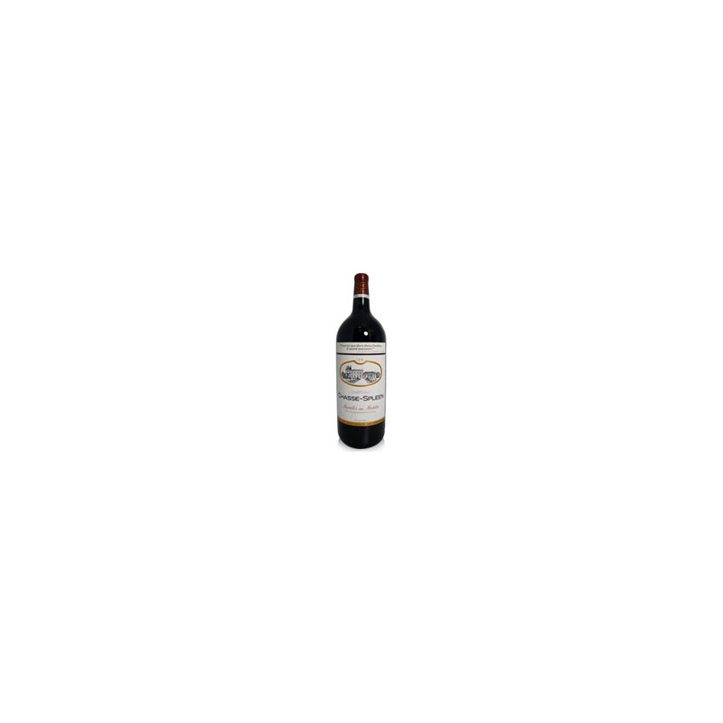 Château Chasse Spleen 2016 Rouge - 300cl