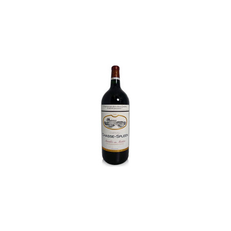 Château Chasse Spleen 2016 Rouge - 300cl