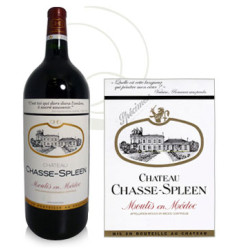 Château Chasse Spleen 2016 Rouge - 300cl