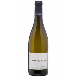Expression 2023 Blanc Domaine Teiller - 75cl