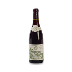 Clos Napoléon 1er Cru 2022 Rouge Pierre Gelin - 75cl
