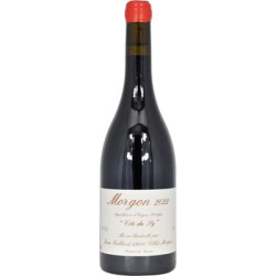 Côte du Py 2023 Rouge Jean Foillard - 75cl