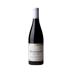 Bourgogne Pinot Noir 2024 Rouge Pierre Gelin - 75cl