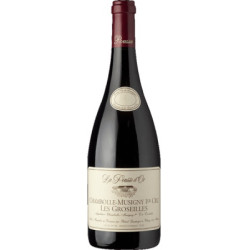 Les Groseilles 2019 Rouge Domaine de la Pousse d'Or - 75cl