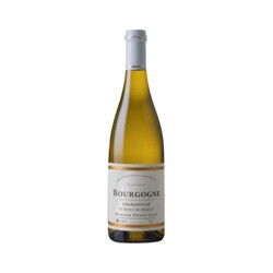 Le Dessus de Prielles 2024 Blanc Pierre Gelin - 75cl