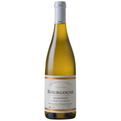Le Dessus de Prielles 2024 Blanc Pierre Gelin - 75cl