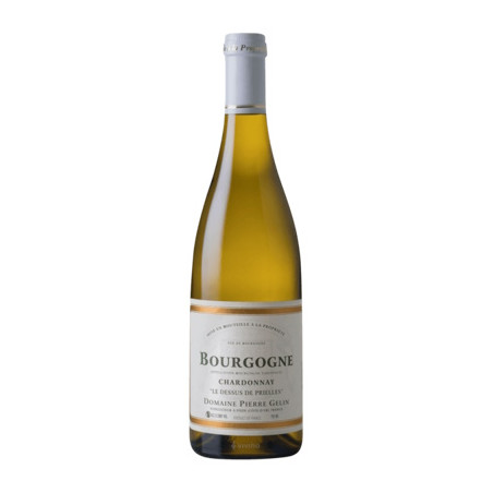 Le Dessus de Prielles 2024 Blanc Pierre Gelin - 75cl