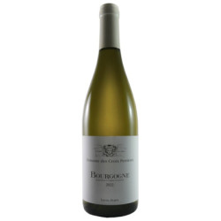 Domaine des Croix Perrières 2023 Blanc Louis Jadot - 75cl